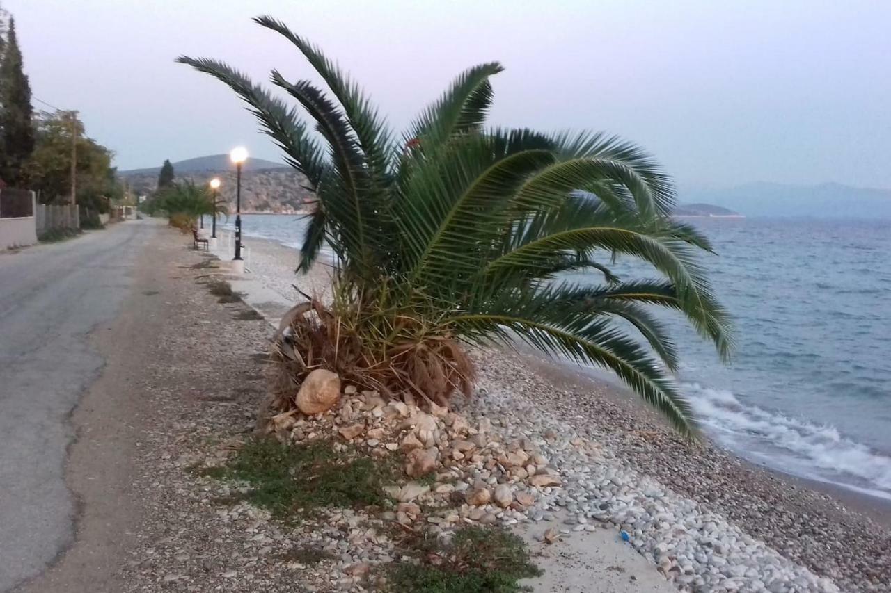 Family House Near The Beach Drepano-Nafplio Eksteriør bilde